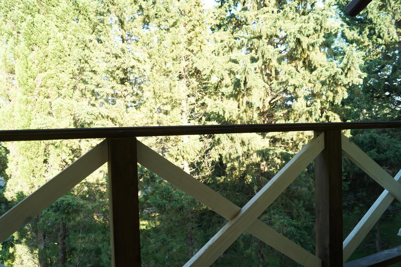 Pitsunda Hotel מראה חיצוני תמונה